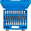 BGS 5170 zestaw nasadek do bitów, 12,5 mm (1/2"), gniazdo sześciokątne, profil T (do Torx), gniazdo wielokątne (do XZN) z łbem kulistym, 20 szt. BGS 5170 zestaw nasadek do bitów, 12,5 mm (1/2"), gniazdo sześciokątne, profil T (do Torx), gniazdo wielokątne (do XZN) z łbem kulistym, 20 szt.