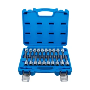BGS 5170 zestaw nasadek do bitów, 12,5 mm (1/2"), gniazdo sześciokątne, profil T (do Torx), gniazdo wielokątne (do XZN) z łbem kulistym, 20 szt.
