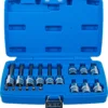 BGS 5174 zestaw nasadek do bitów, 6,3 mm (1/4") / 12,5 mm (1/2"), profil T (do Torx) z otworem, 18 szt.