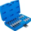 BGS 5174 zestaw nasadek do bitów, 6,3 mm (1/4") / 12,5 mm (1/2"), profil T (do Torx) z otworem, 18 szt.