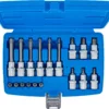BGS 5174 zestaw nasadek do bitów, 6,3 mm (1/4") / 12,5 mm (1/2"), profil T (do Torx) z otworem, 18 szt.