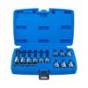 BGS 5174 zestaw nasadek do bitów, 6,3 mm (1/4") / 12,5 mm (1/2"), profil T (do Torx) z otworem, 18 szt.