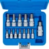 BGS 74257 zestaw nasadek do bitów, 6,3 mm (1/4") / 10 mm (3/8") / 12,5 mm (1/2"), gniazdo sześciokątne 2–14 mm, 13 szt.