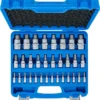BGS 74258 zestaw nasadek do bitów, 6,3 mm (1/4") / 10 mm (3/8") / 12,5 mm (1/2"), gniazdo sześciokątne 2–19 mm / 1/4–9/16", Wymiary metryczne i calowe, 32 szt.
