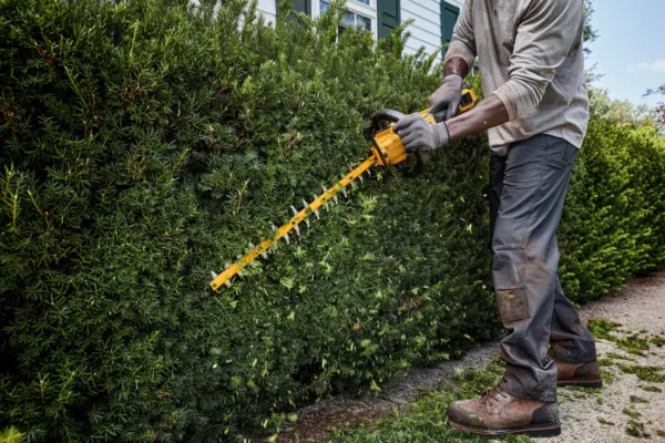 DEWALT DCMHT573N nożyce do żywopłotu 54 V 65 cm 31 mm