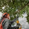 DEWALT DCMPS567N pilarka łańcuchowa okrzesywarka na wysięgniku 18 V 20 cm 2-3m