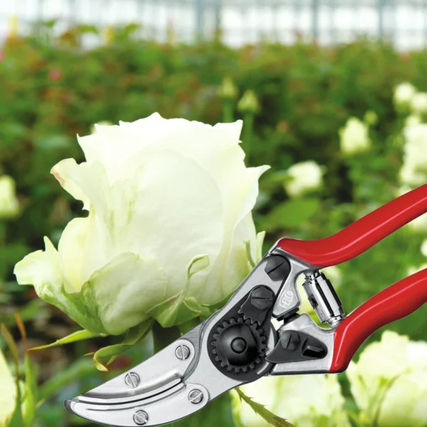 Sekator do zbiorów FELCO 100 – ujęcie producenta 2 Sekator do zbiorów FELCO 100 – ujęcie producenta 2