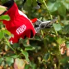 Sekator do zbiorów FELCO 100 – ujęcie producenta 3 Sekator do zbiorów FELCO 100 – ujęcie producenta 3