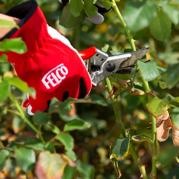 Sekator do zbiorów FELCO 100 – ujęcie producenta 3 Sekator do zbiorów FELCO 100 – ujęcie producenta 3
