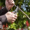 Sekator FELCO 11 – ujęcie producenta 4 Sekator FELCO 11 – ujęcie producenta 4