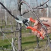 Sekator FELCO 2 – ujęcie producenta 4 Sekator FELCO 2 – ujęcie producenta 4