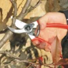 Sekator FELCO 2 – ujęcie producenta 5 Sekator FELCO 2 – ujęcie producenta 5
