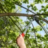 Nożyce do gałęzi FELCO 211-50 – ujęcie producenta 3 Nożyce do gałęzi FELCO 211-50 – ujęcie producenta 3