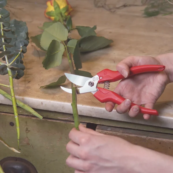 Nożyczki ogrodnicze FELCO 300 – ujęcie producenta 3 Nożyczki ogrodnicze FELCO 300 – ujęcie producenta 3