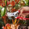 Sekator FELCO 4 – ujęcie producenta 2 Sekator FELCO 4 – ujęcie producenta 2