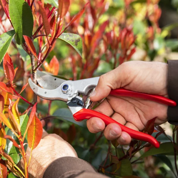 Sekator FELCO 4 – ujęcie producenta 4 Sekator FELCO 4 – ujęcie producenta 4