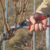 Sekator FELCO 8 – ujęcie producenta 2 Sekator FELCO 8 – ujęcie producenta 2