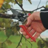 Sekator FELCO 8 – ujęcie producenta 3 Sekator FELCO 8 – ujęcie producenta 3
