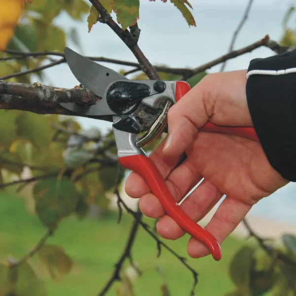 Sekator FELCO 8 – ujęcie producenta 3 Sekator FELCO 8 – ujęcie producenta 3